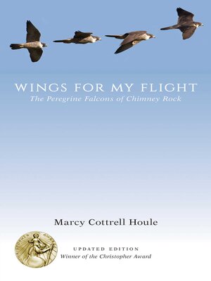 cover image of Wings for My Flight